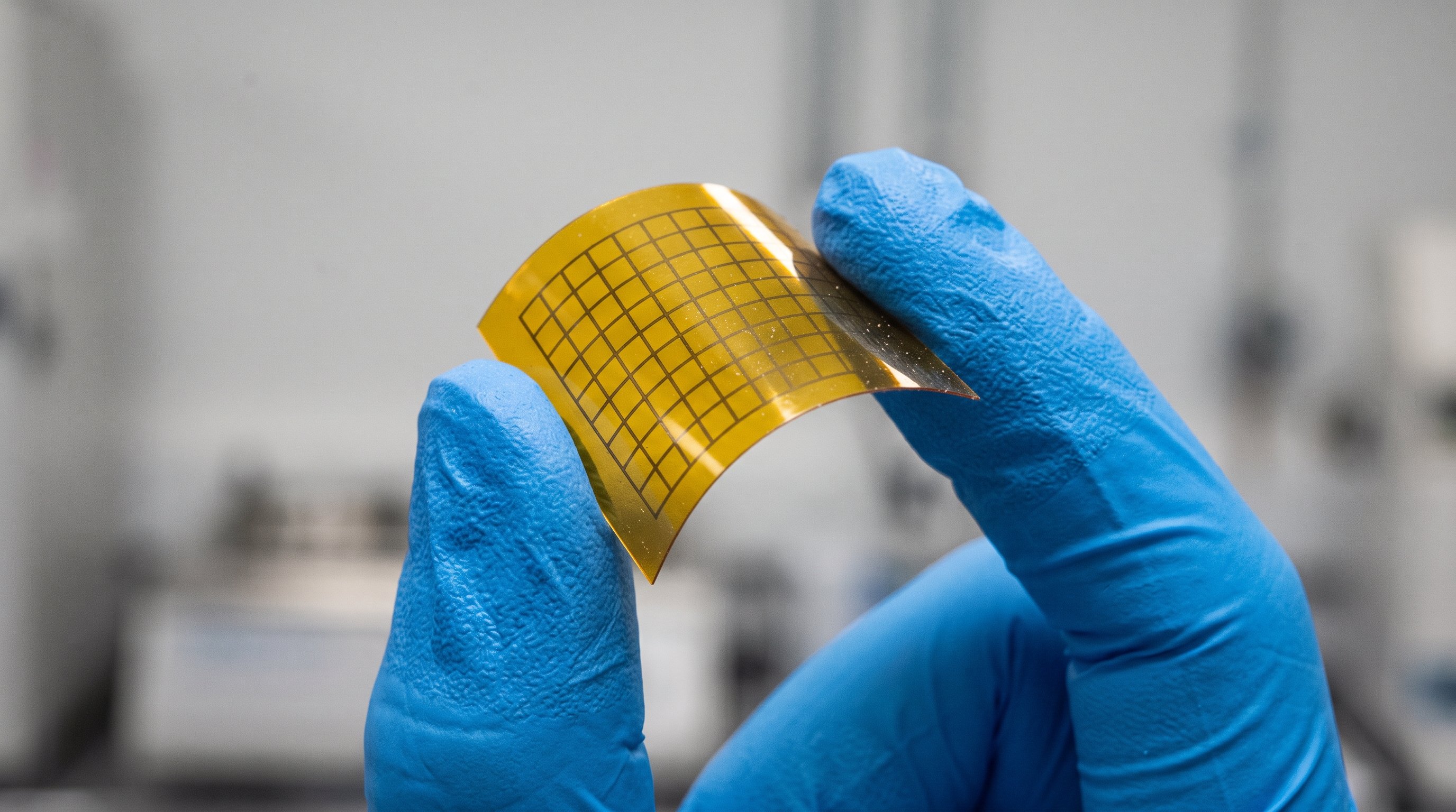 Twee vingers in blauwe labhandschoenen houden een klein, gebogen, doorzichtig geel velletje vast met een fijn raster van donkere lijnen, voor een vage laboratoriumachtergrond.